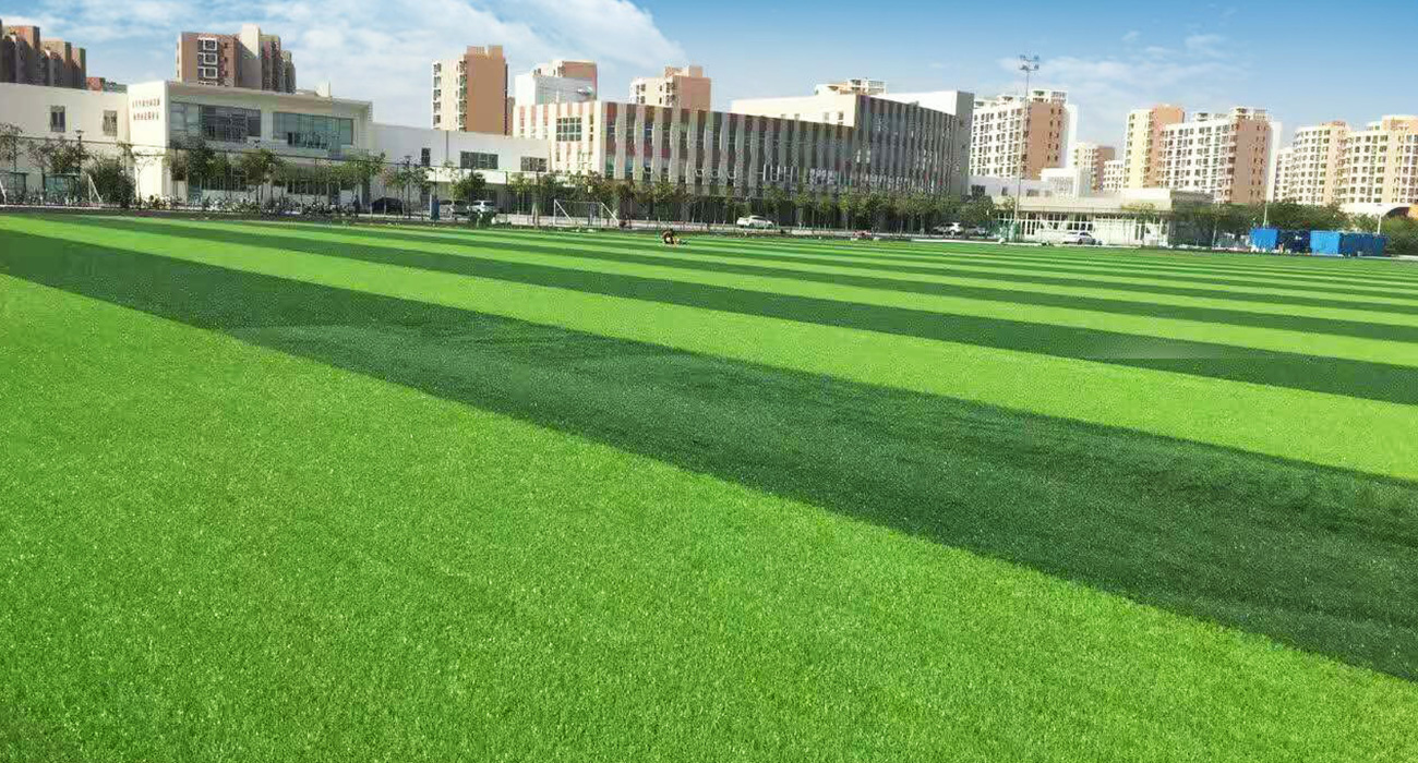 天津市空港经济区学校