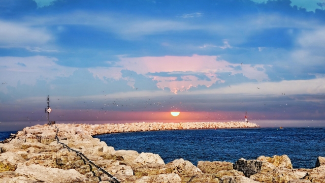 betway必威集团：体育馆标配！塑胶跑道材料将成主流选择